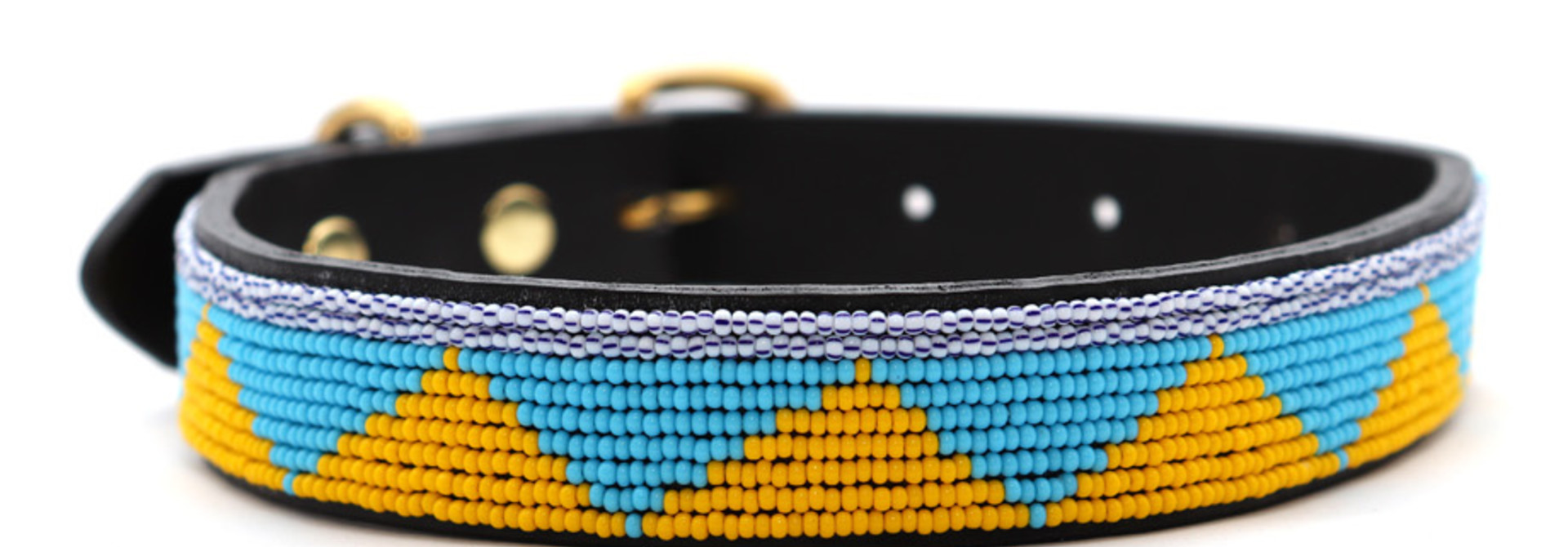 Pet Collar Spring Yellow/Blue Medium