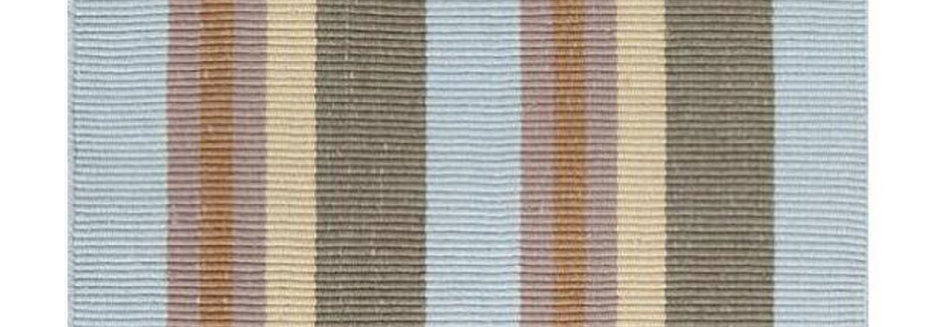 Max Stripe Indoor/Outdoor Rug