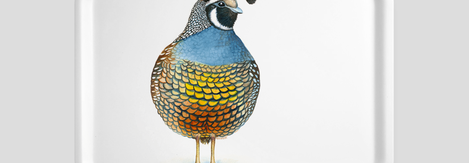 Tray - Quincy - Quail