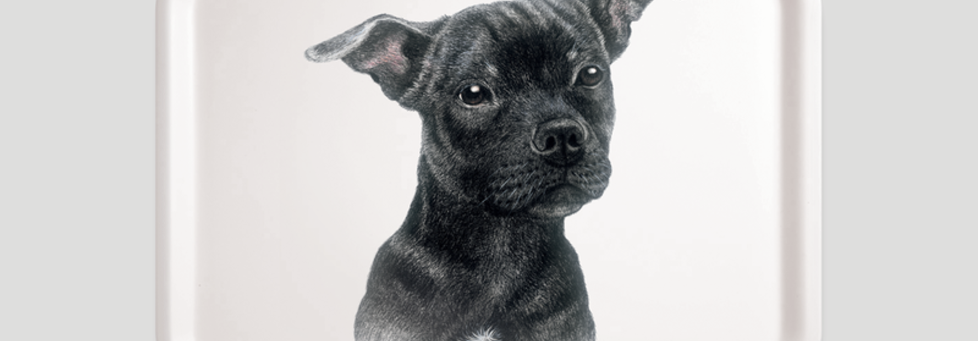 Tray - Peanut - English Bullterrier