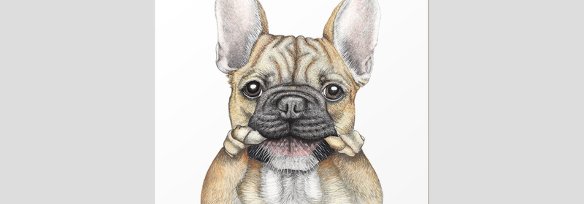 Coasters - Bruce - Fr Bulldog - Set of 6