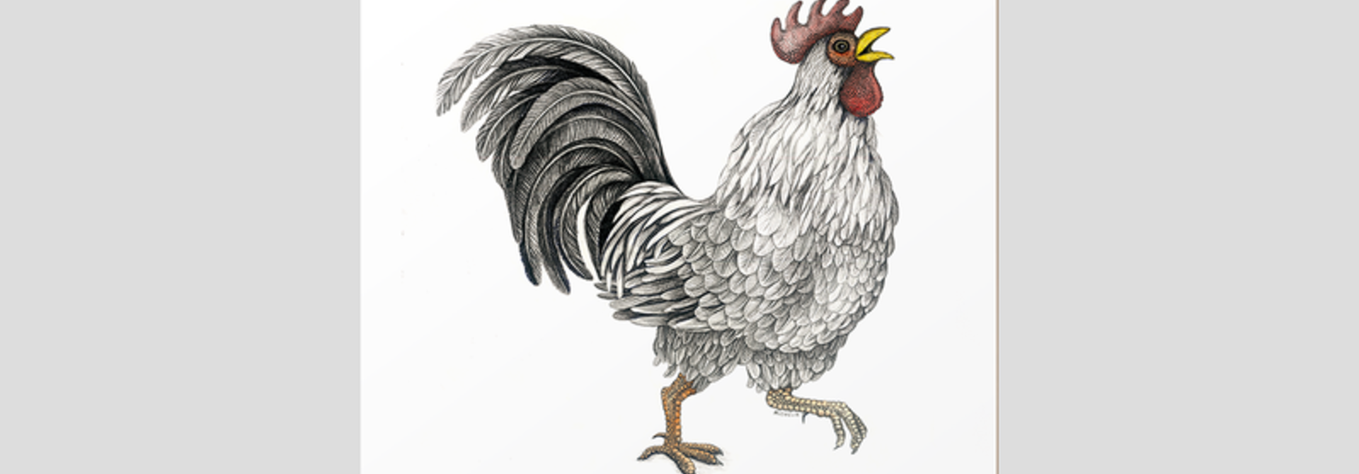 Coasters - Ralph the Rooster - Set of 6