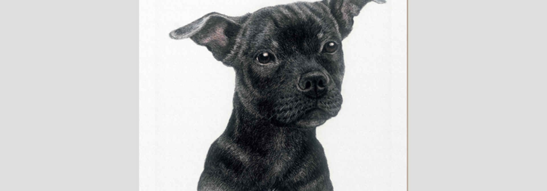 Coasters - Peanut - Eng Bullterrier - Set of 6