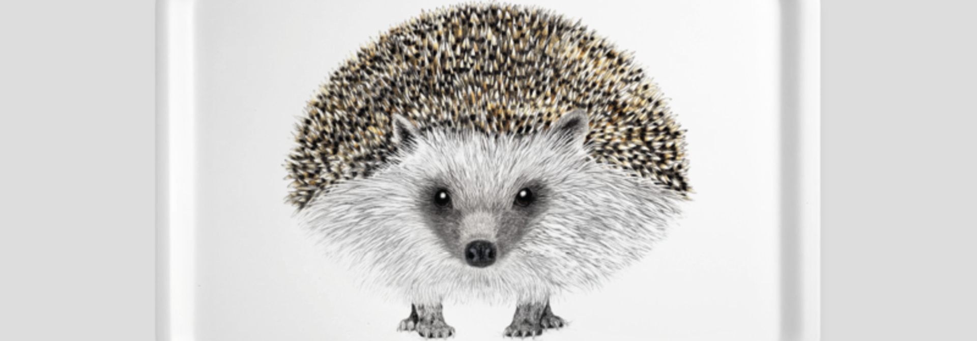 Tray - Henry - Hedgehog