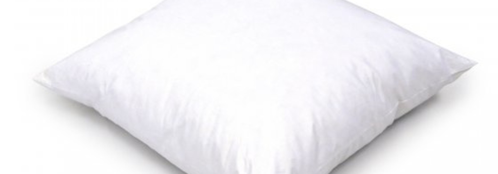 Cushion Insert - 25" x 25"