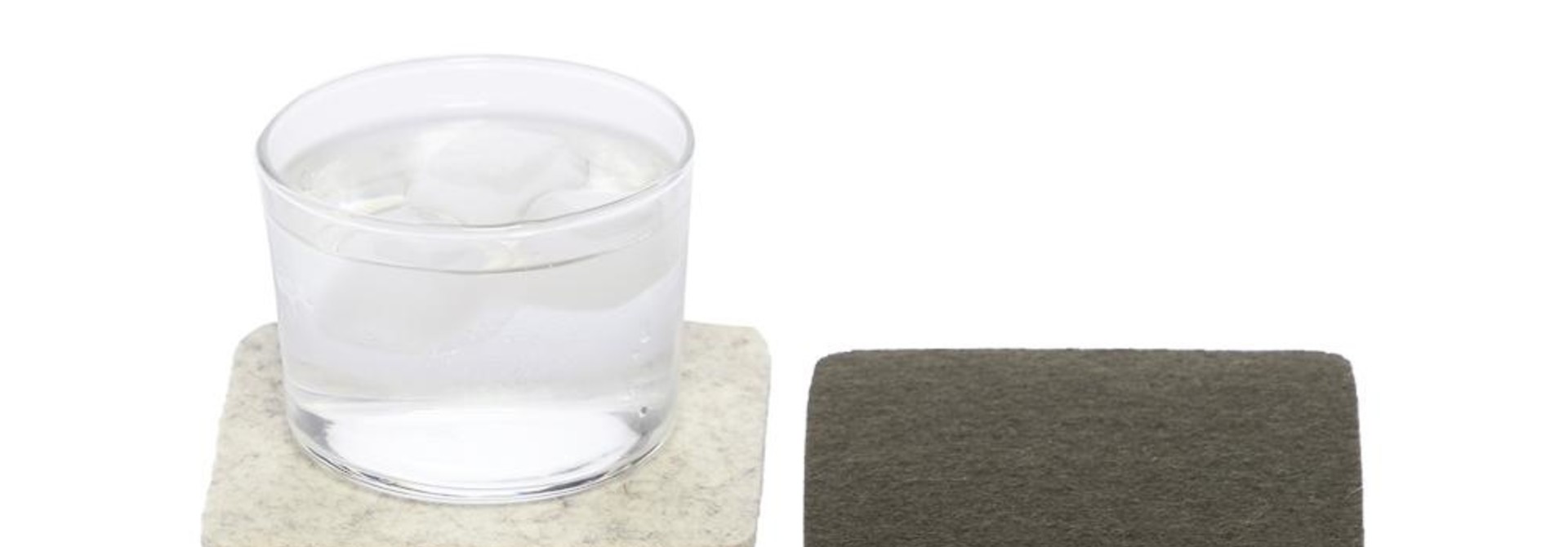 Felt Coaster Set of 4 - Terra