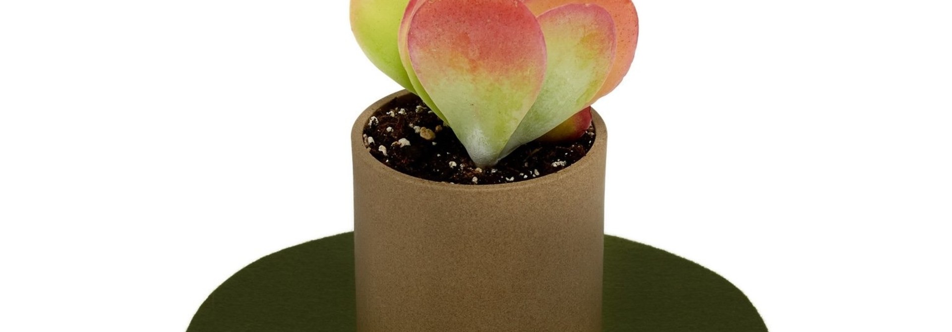 Felt Trivet Circle - Moss