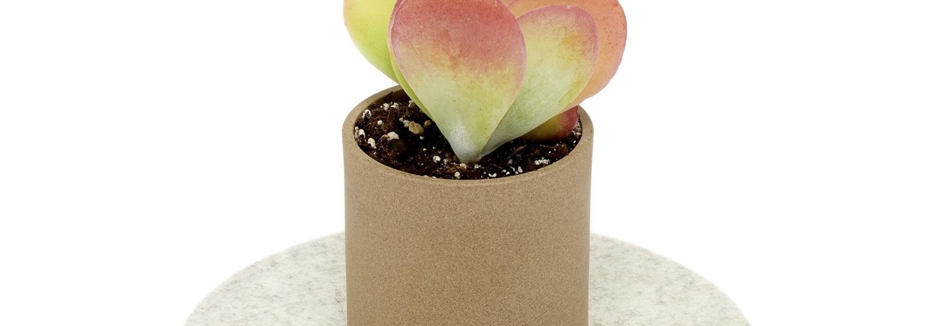 Trivet - Round - White Heather - 8"