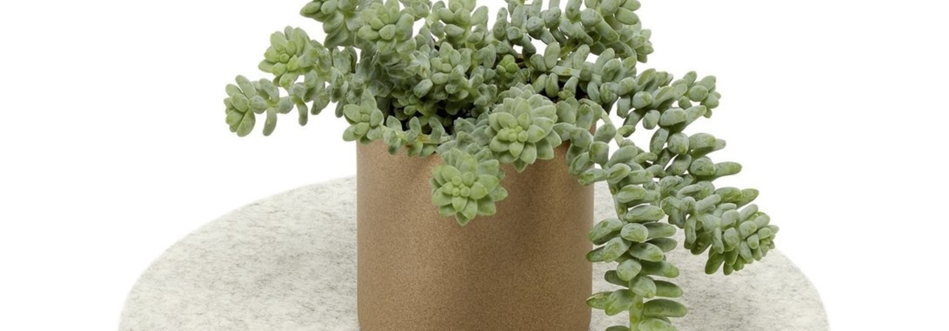 Felt Trivet Round - Heather White
