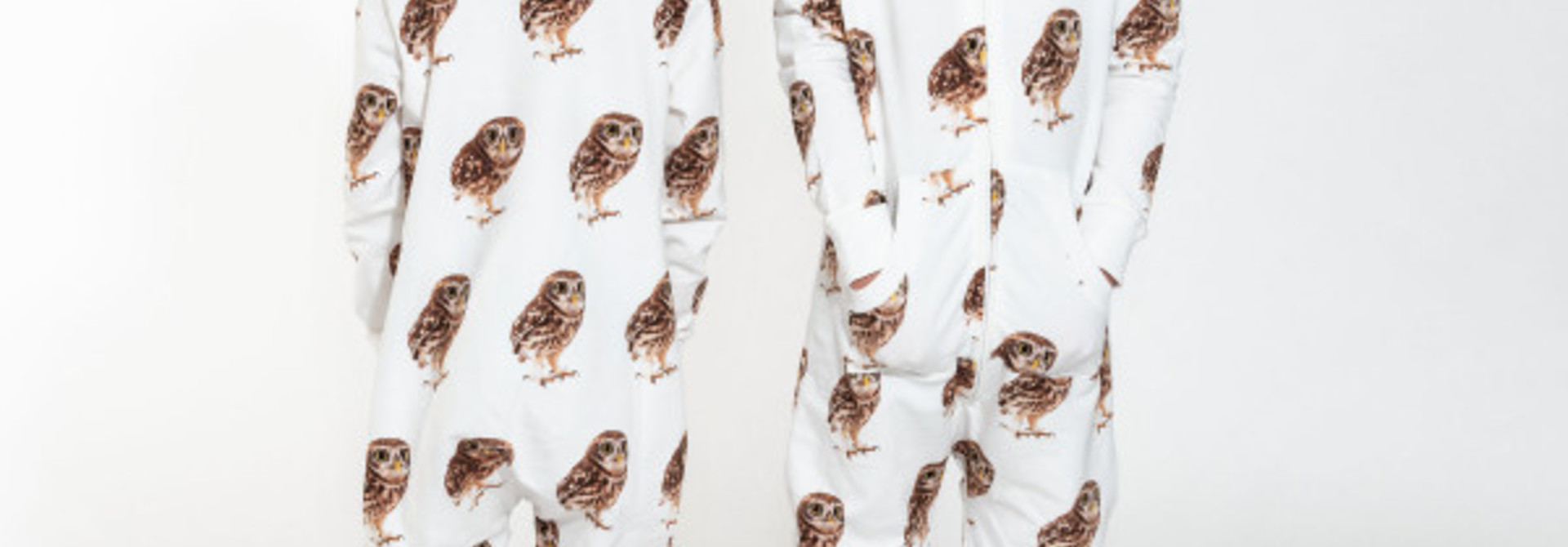 Owls