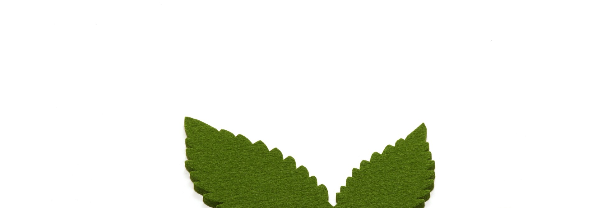 Leaf - Marijuana - Large
