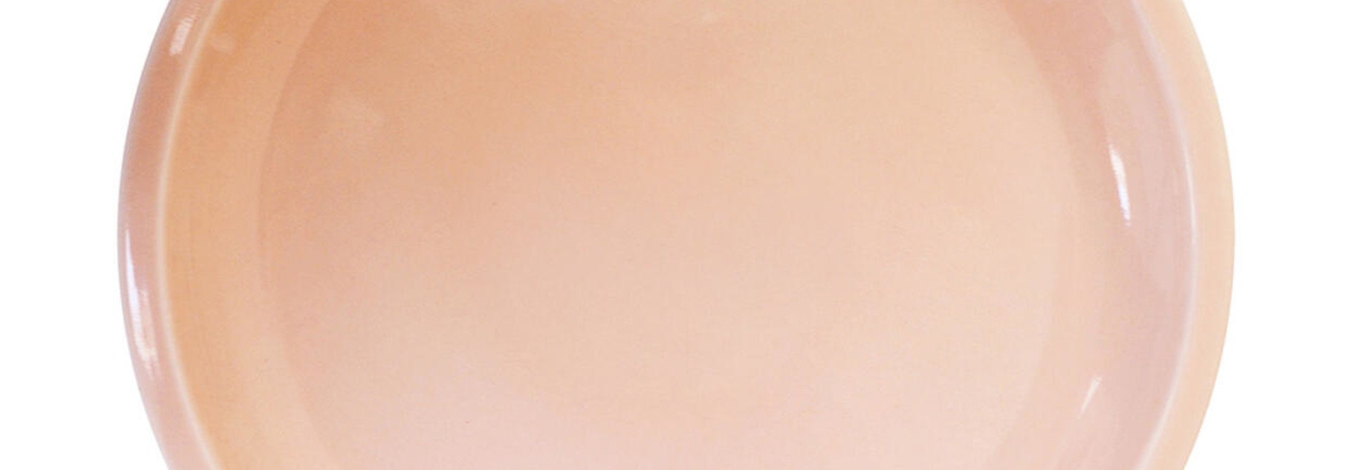 Plate - Cantine - Rose - XL