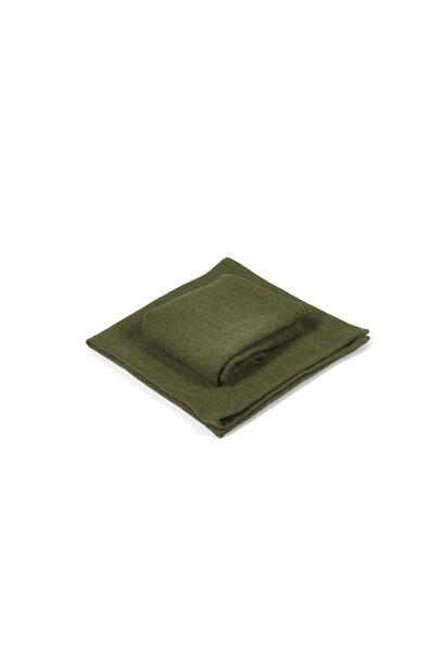 Napkin - Hudson - Forest - 21" x 21"