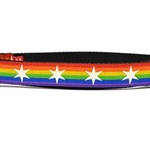 Six Point Pet Six Point Pet Chicago Flag Rainbow Collar Large