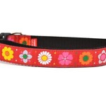 Six Point Pet Six Point Pet Daisy Chain Collar Red Large