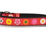 Six Point Pet Six Point Pet Daisy Chain Collar Red Small