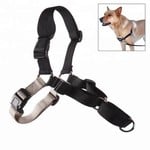 Pet Safe / Radio Systems Corp. Easy Walk Harness Black Extra Large