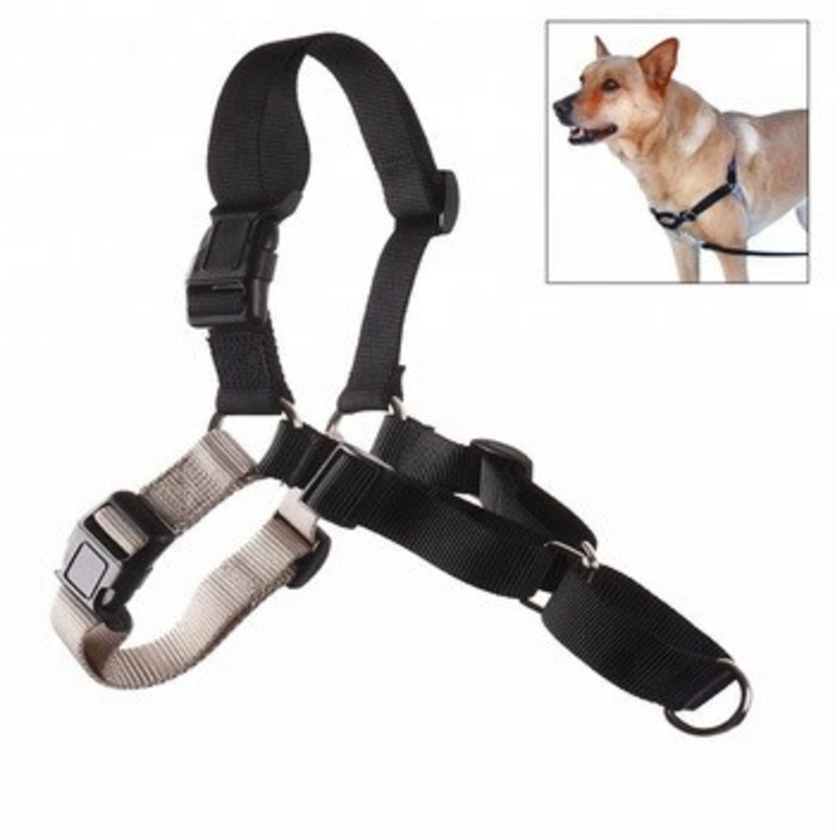 Pet Safe / Radio Systems Corp. Easy Walk Harness Black Large