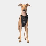 Canada Pooch Canada Pooch Everything Harness Black X-Large