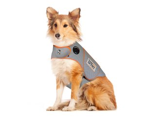 Thundershirt for best sale greyhounds