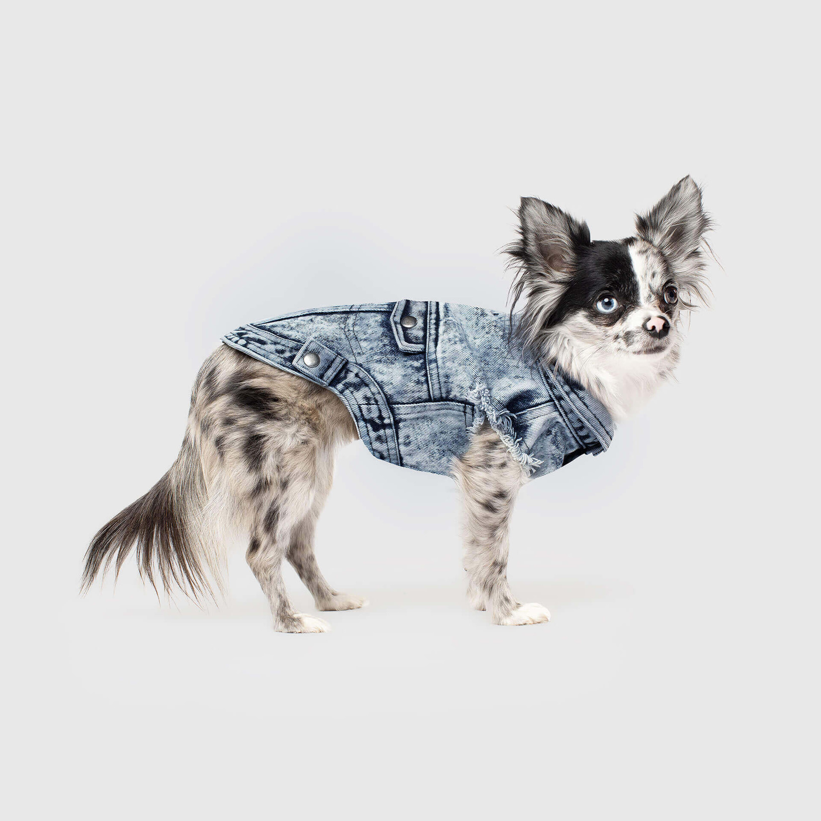 Canada Pooch Canada Pooch Downtown Denim Vest Blue 14