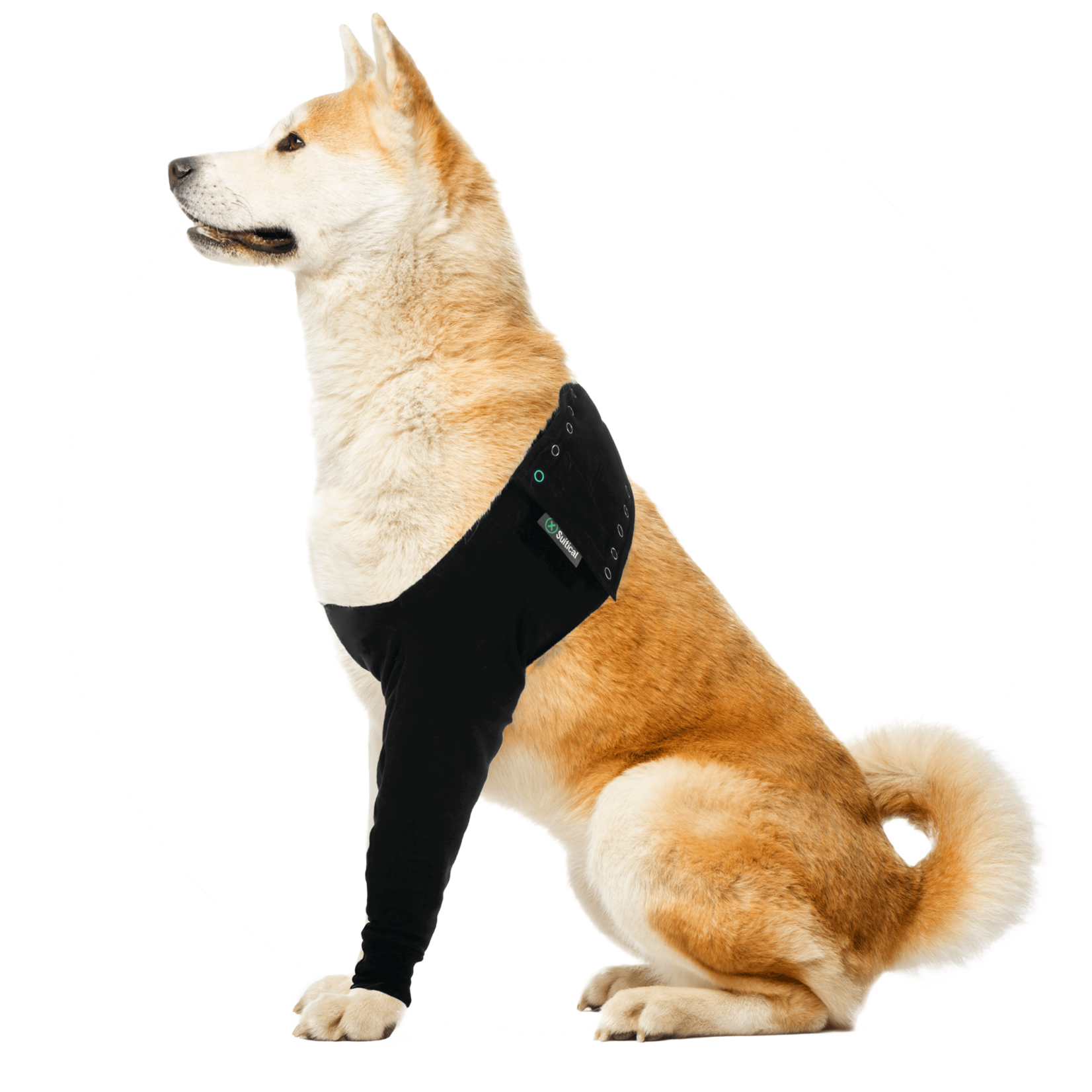 Suitical Dog Recovery Sleeve Small