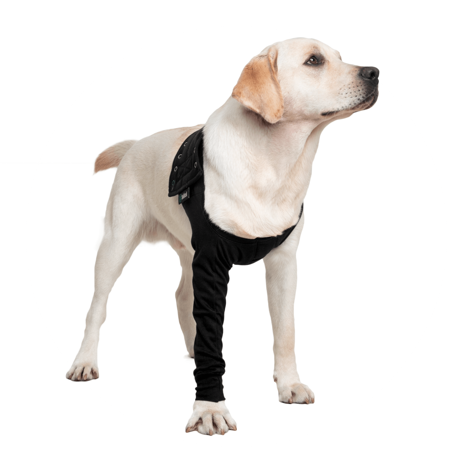 Suitical Dog Recovery Sleeve Large