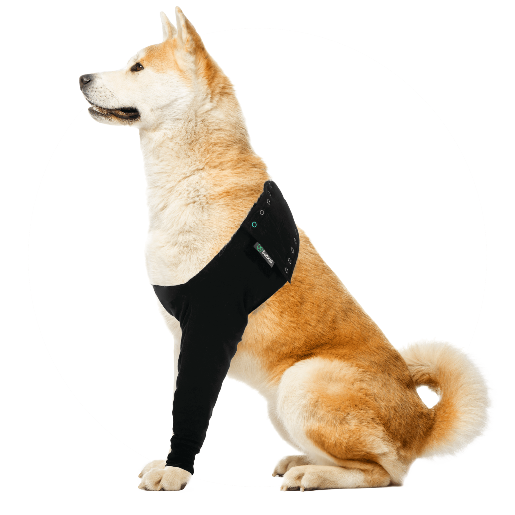Suitical Dog Recovery Sleeve Large