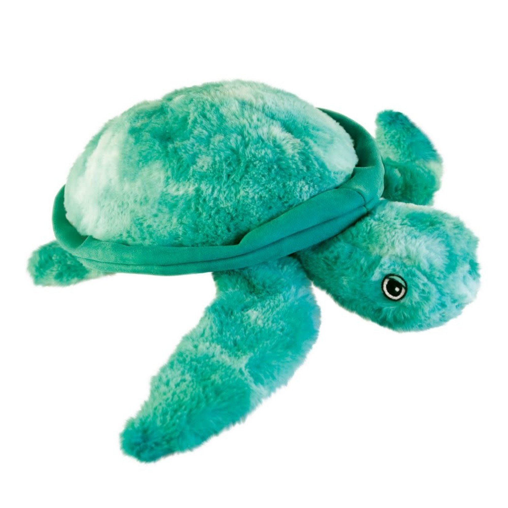 pet sea turtle