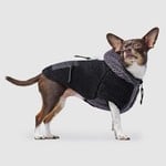 Canada Pooch Canada Pooch Cool Factor Hoodie Black 8