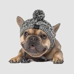 Canada Pooch Canada Pooch Pom Pom Knit Hat Charcoal Medium