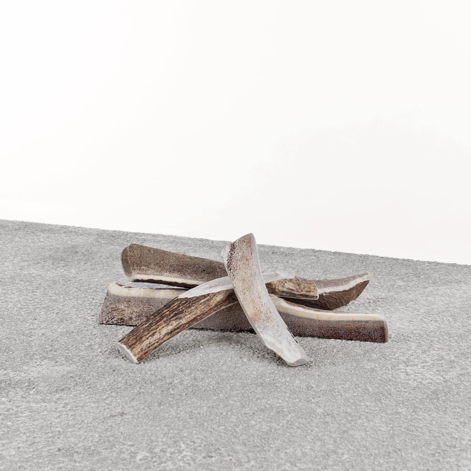 Primal Pet Foods Primal Split Stag Antler X-Large 10"