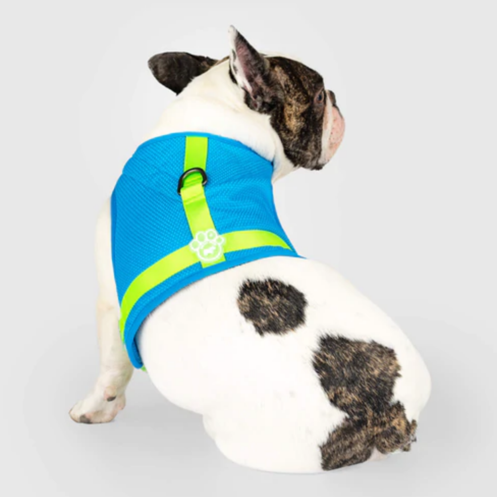 Canada Pooch Canada Pooch Cooling Harness Blue 12