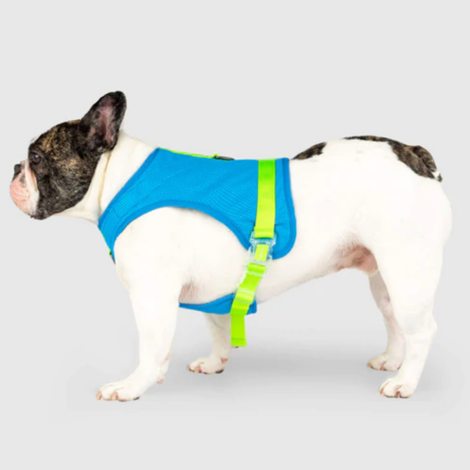 Canada Pooch Canada Pooch Cooling Harness Blue 16