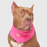 Canada Pooch Canada Pooch Cooling Bandana Neon Pink Large