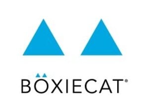 Boxie Cat