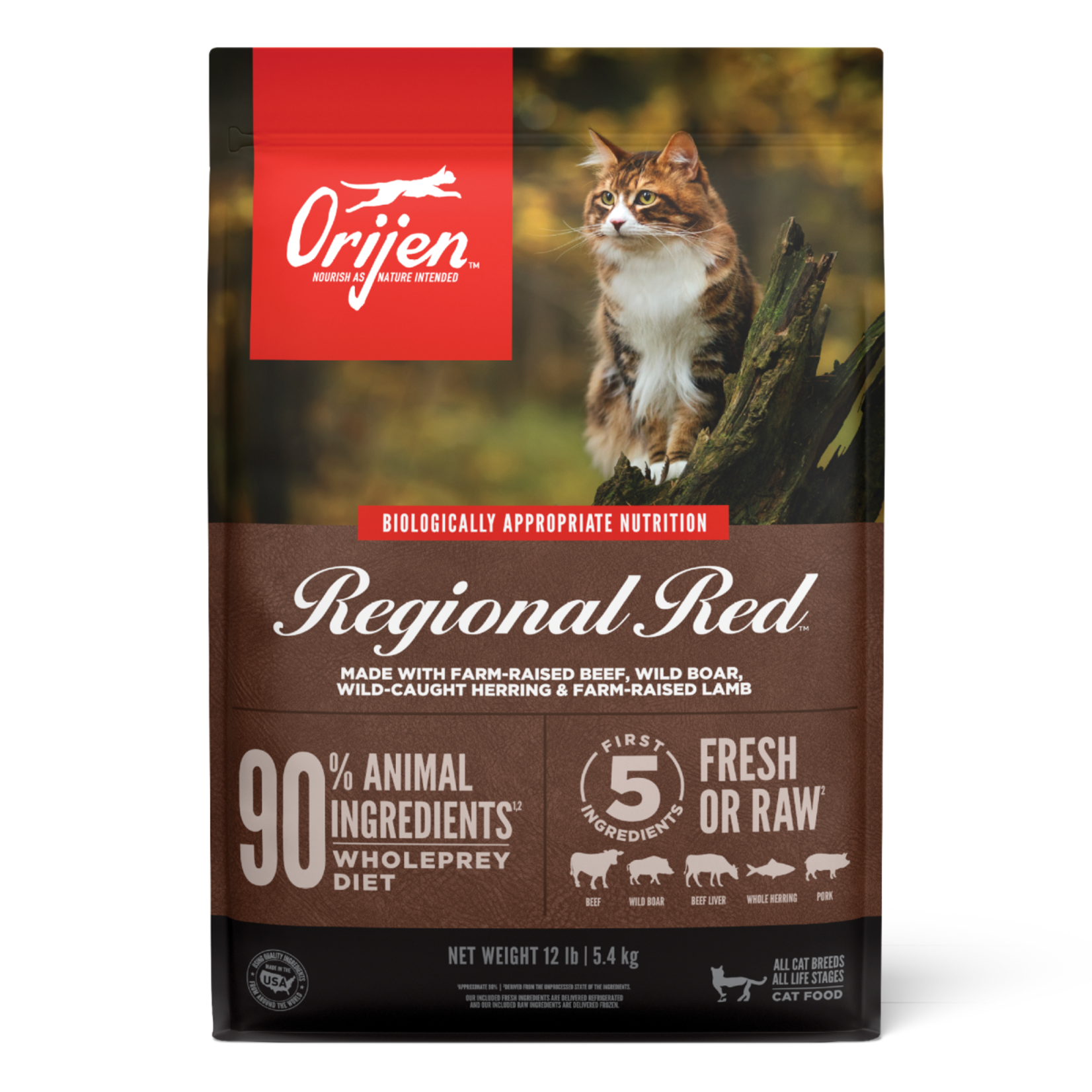 Champion Pet Foods Orijen Cat GF Regional Red 12#