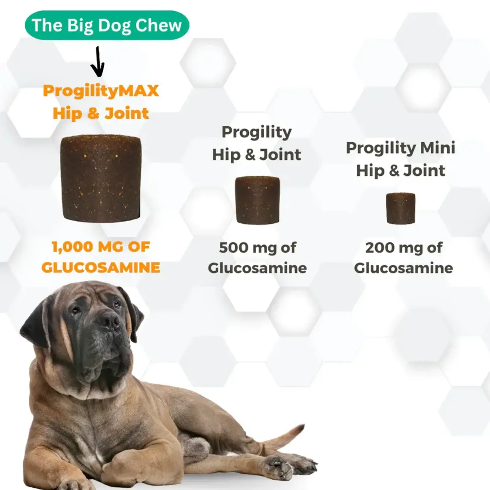 Nootie ProgilityMax Hip & Joint Soft Chew Supplement for Large Dogs 60ct