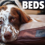 Beds, Pads, & Blankets