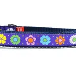 Six Point Pet Six Point Pet Daisy Chain Collar Purple Small