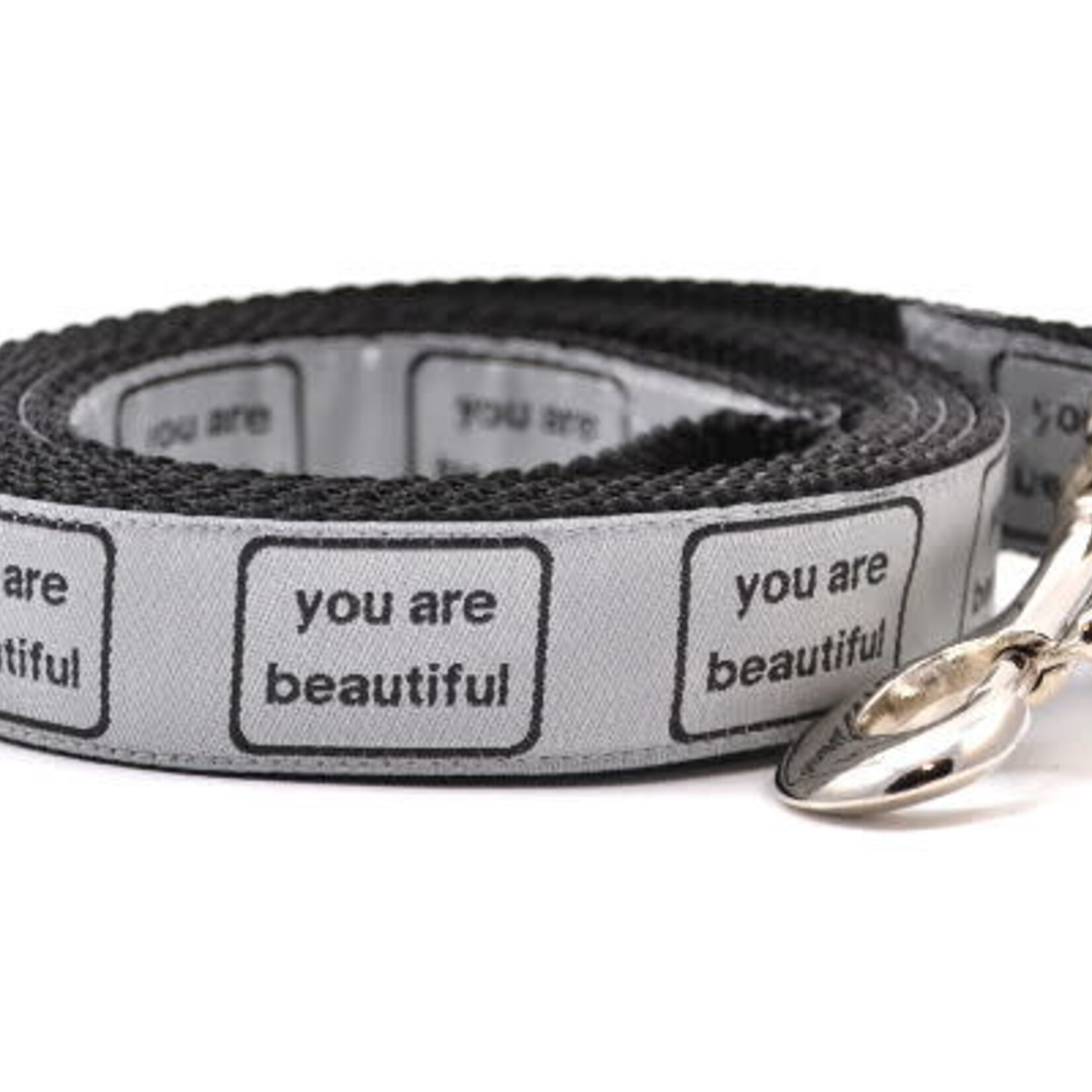Six Point Pet Six Point Pet You Are Beautiful Lead Silver Large