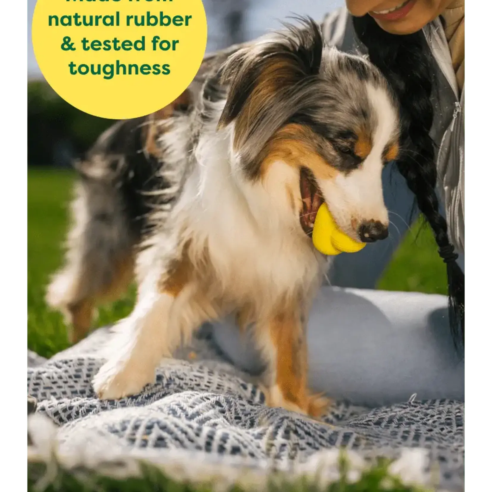 Earth Rated Earth Rated Natural Rubber Fetch Toy Large