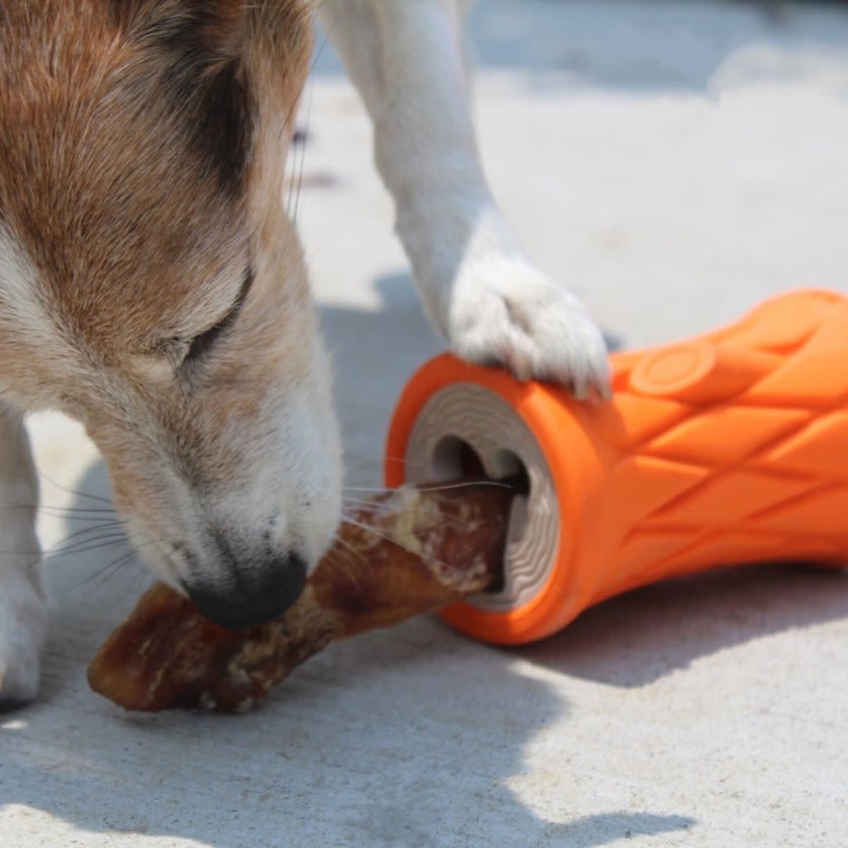 Tall Tails Tall Tails Tree Trunk Natural Rubber Reward Dog Toy