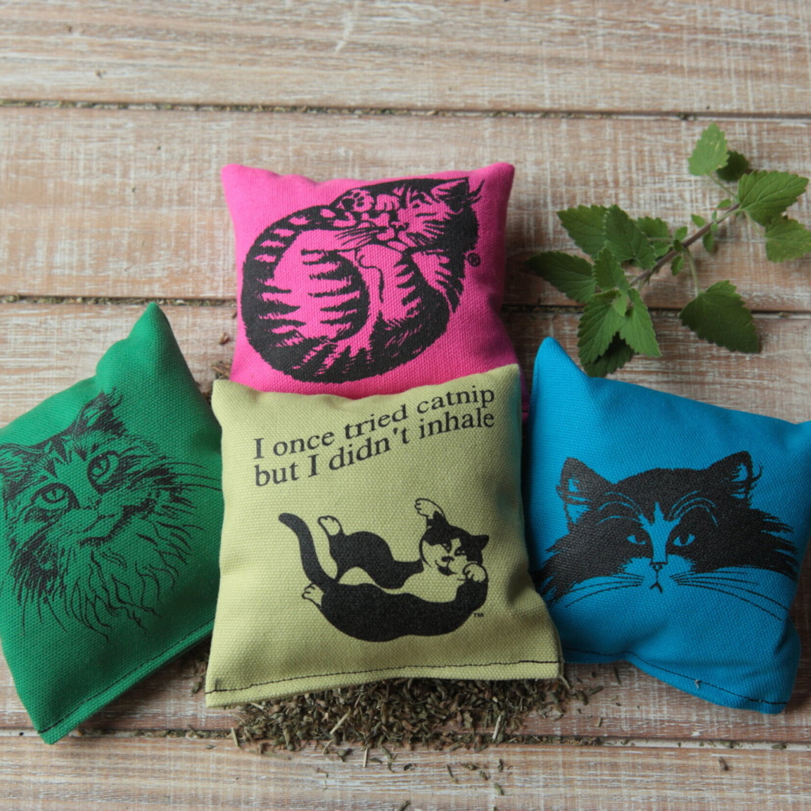 Dr. Pussums Catnip Kicker Square Pillow Assorted Singles