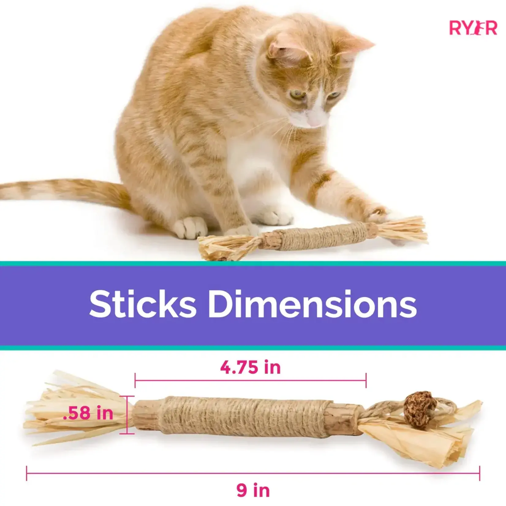 RyerCat RyerCat Silvervine Dental Stick Single