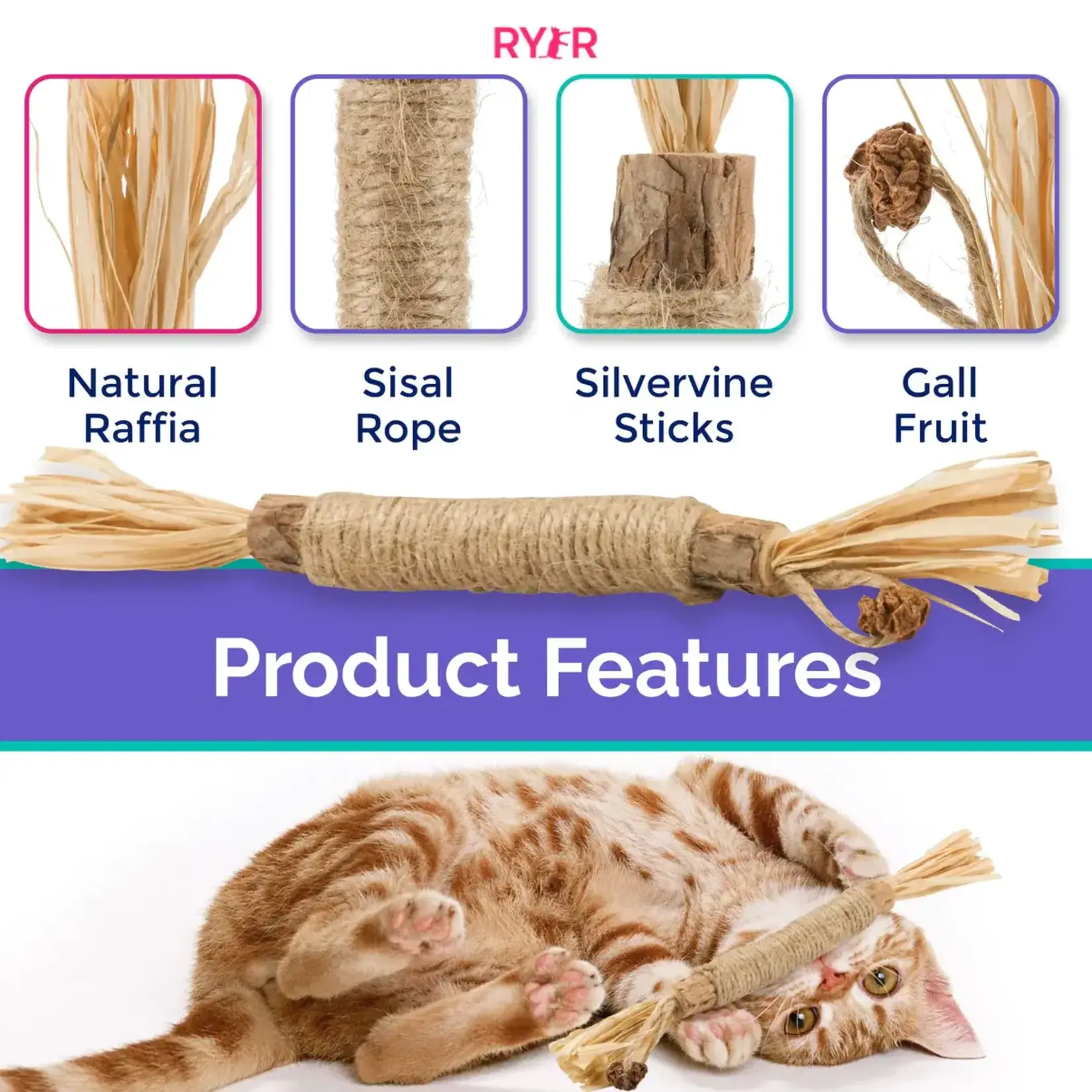 RyerCat RyerCat Silvervine Dental Stick Single