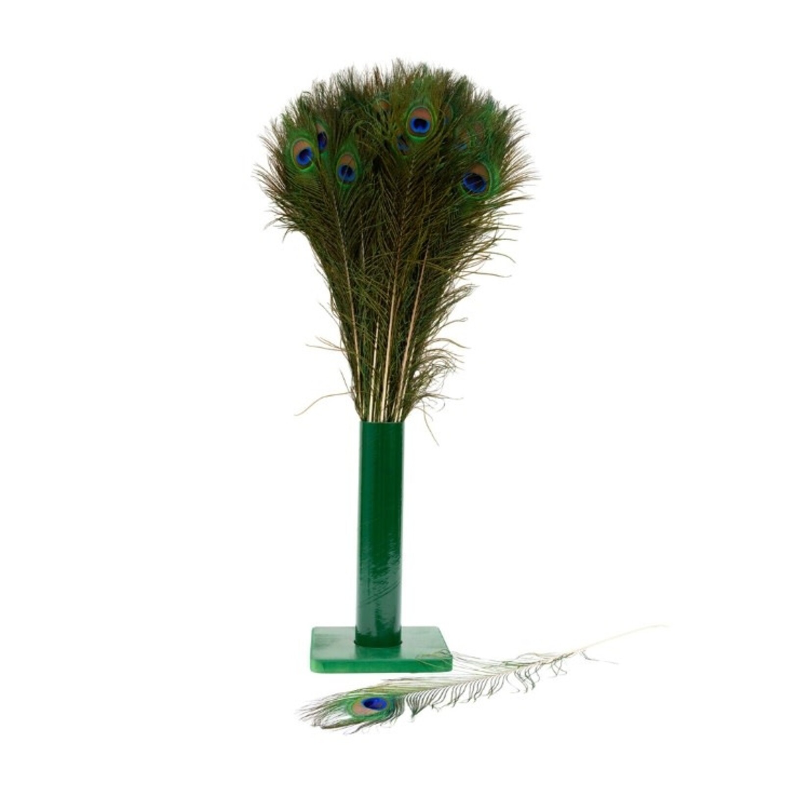 Vee Enterprises Natural Peacock Feather Singles