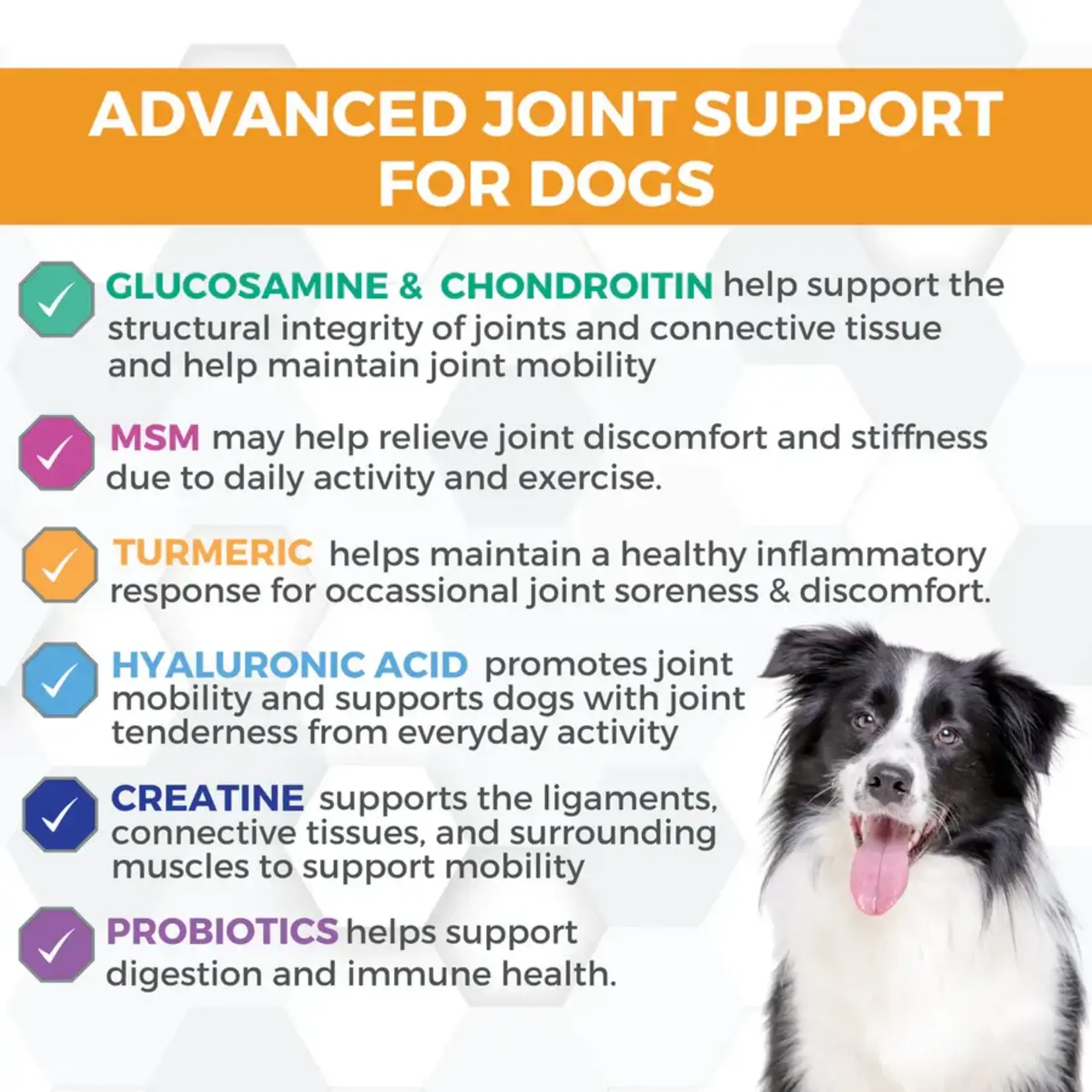 Nootie Nootie Progility Hip & Joint Soft Chew Supplements for Dogs 90ct