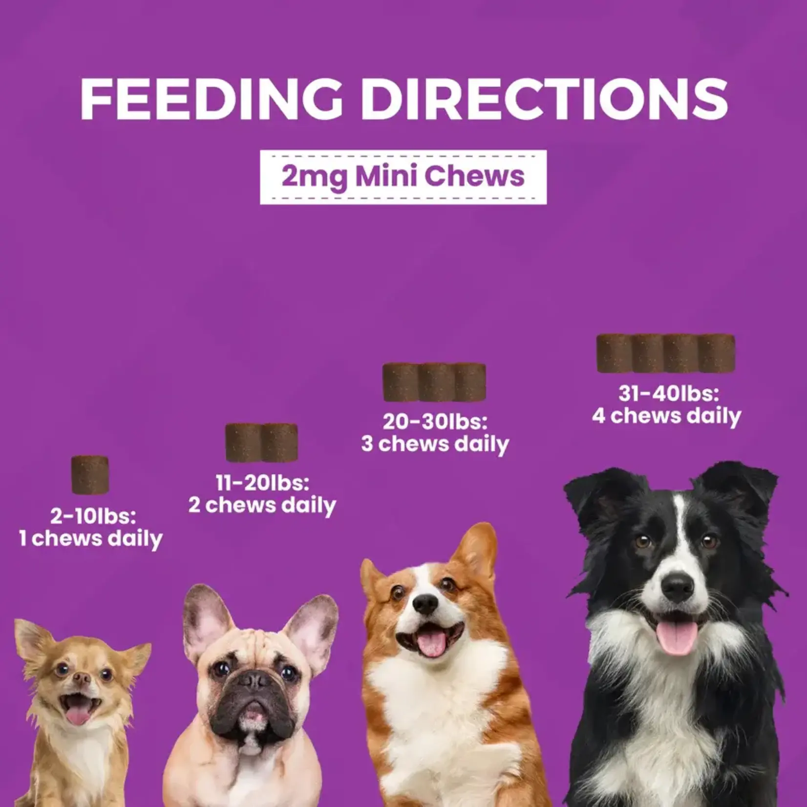 Nootie Nootie Progility Minis Calming Aid Soft Chew Supplements for Small & Medium Dogs 60ct