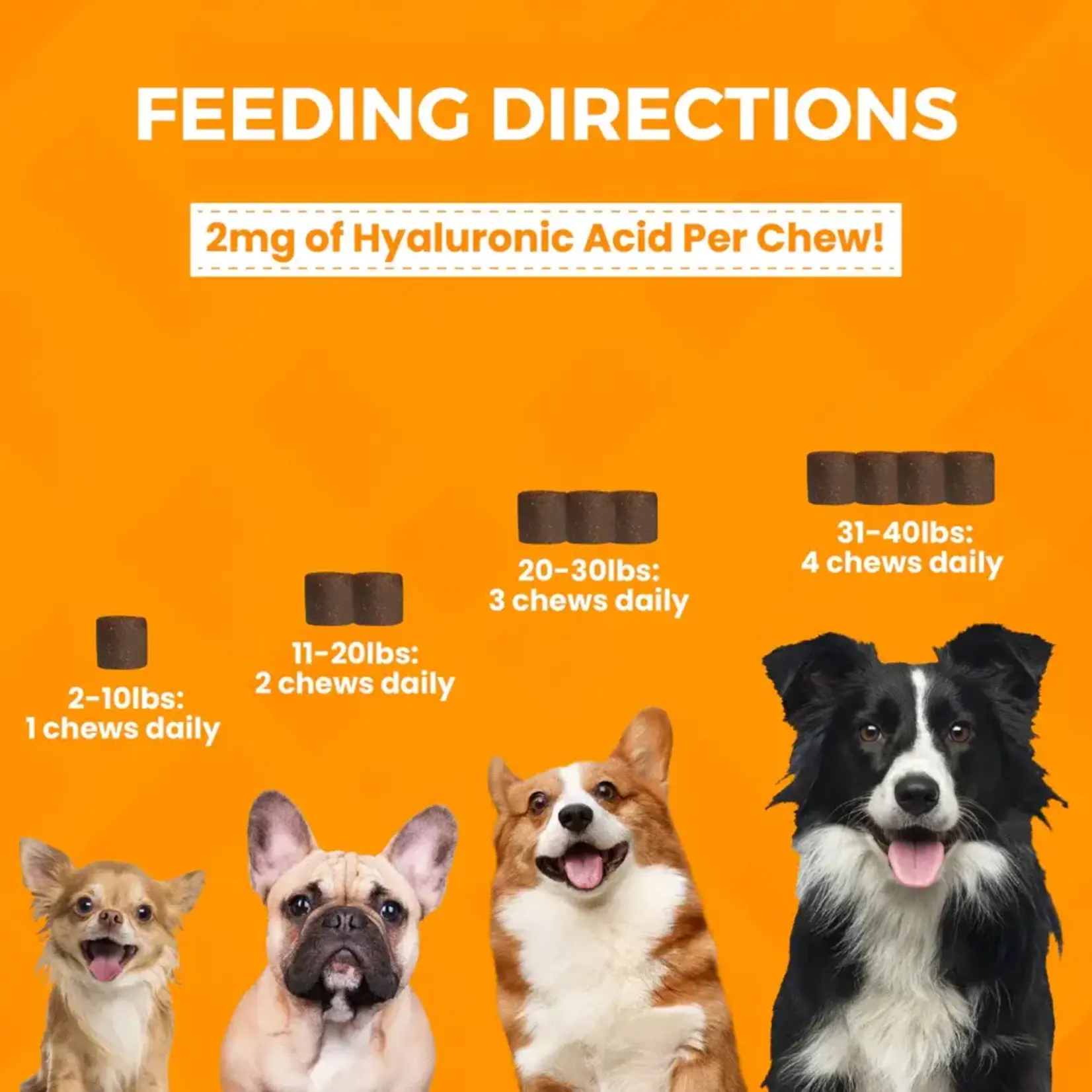 Nootie Nootie Progility Minis Hip & Joint Soft Chew Supplement for Small & Medium Dogs 60ct